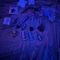 mistress-brianna-bdsm-via-kinky-68c1f05c4884f30013e884b0