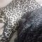dieuwertje-virtual-sex-via-kinky-68b9857eaab67a0013525d49
