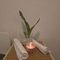 zarah-erotische-massage-via-kinky-68b5dd392db44600141358e8