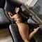 megan-prive-ontvangst-via-kinky-68b991661f33c500124cb6cd