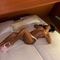melissa-escort-via-kinky-68dbc97b6414c600131a53af