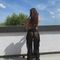 alina-escort-via-kinky-68bdff9a3f009c0012763e0c
