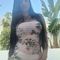 jenny-prive-ontvangst-via-kinky-68c01eadaab67a0013526611