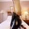 ts-mila-prive-ontvangst-via-kinky-68ca62e8918ef40013941ba8