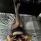 tessa-prive-ontvangst-via-kinky-68d29f7ec6c1e00013da9dde