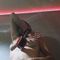 sophie-escort-via-kinky-68e5d16c6414c600131a5ff5