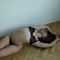 luna-prive-ontvangst-via-kinky-68d168912f74810013c833e9