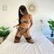 dilara-prive-ontvangst-via-kinky-68d493ffc6c1e00013daa1b8