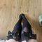 lina-virtual-sex-via-kinky-68d1ca7cc6c1e00013da9b6b