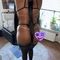lili-prive-ontvangst-via-kinky-68d3a381c6c1e00013da9fe4