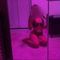 adelle-prive-ontvangst-via-kinky-68d2fc7a4884f30013e89e80