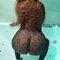 tina-escort-via-kinky-68e4ee757e9b92001310bc0e