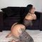 rous-prive-ontvangst-via-kinky-68eb0345f2706a00138de15d