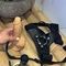 isra-virtual-sex-via-kinky-68e852f8034a850013eab355