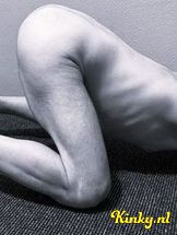 milan-prive-ontvangst-via-kinky-6939ba5ef83c6e0013fb4bbb