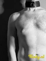 Milan - Calm, discreet and naturally responsive companion.