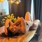 paulina-prive-ontvangst-via-kinky-68f0c50d034a850013eabefc