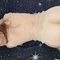 gesica-prive-ontvangst-via-kinky-68ef7ce639a40500130603d3