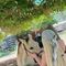 mery-prive-ontvangst-via-kinky-68f0fe180e66ef00137b2751