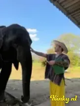 charlie-prive-ontvangst-via-kinky-69b5d512940699001297ac0a