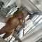 arlot-prive-ontvangst-via-kinky-68f0f8d2f65b70001392ec00