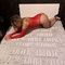 anna-prive-ontvangst-via-kinky-68f21068c0682f0013dffad7