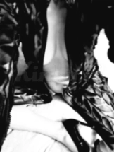 stacy-prive-ontvangst-via-kinky-69024d6032844c0013f62c2c