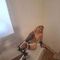 marilyn-prive-ontvangst-via-kinky-68f93b1f32844c0013f61af8