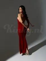veronica-prive-ontvangst-via-kinky-6a5572afcaef6b0013b18613