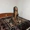 karolina-escort-via-kinky-69174aaef044d900134e558a