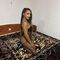karolina-escort-via-kinky-69174aaec0682f0013e035d5