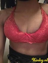 katy-prive-ontvangst-via-kinky-69271dc2b13e9100138059b1