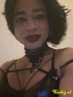 ally-prive-ontvangst-via-kinky-693c4208a18cde00135319a1