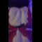 video thumb