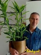 Simon - Ervaren minnaar.