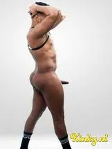 zeus-prive-ontvangst-via-kinky-695269e681e69000129a26fb