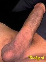 Tarik - Jonge Arabische XL