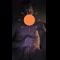 video thumb