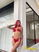 cinthia-prive-ontvangst-via-kinky-6996415f9a41b500138b7124