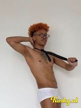 lion-prive-ontvangst-via-kinky-6991d6d97f0ff20013145494