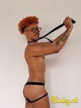 lion-prive-ontvangst-via-kinky-6991d6d2b91c4c00131f95bc