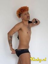 lion-prive-ontvangst-via-kinky-699348d69339a0001219d873