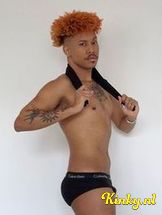 lion-prive-ontvangst-via-kinky-6991d6d240d80a0013295d48