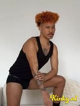 lion-prive-ontvangst-via-kinky-6991d6d840d80a0013295d4a