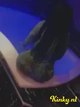 kiara-prive-ontvangst-via-kinky-69aeee669bb1dd0013c20d63