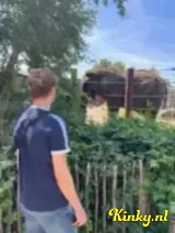 Quincy - Jonge knul ontvangt :)