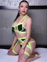 andrea-raducan-prive-ontvangst-via-kinky-6a57999f4aff9700136ce0c7
