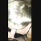 video thumb