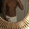marcel-prive-ontvangst-via-kinky-641dc47717f7f50012aa2606