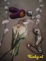 nicole-prive-ontvangst-via-kinky-5f33bbd13fc85409f33422fb